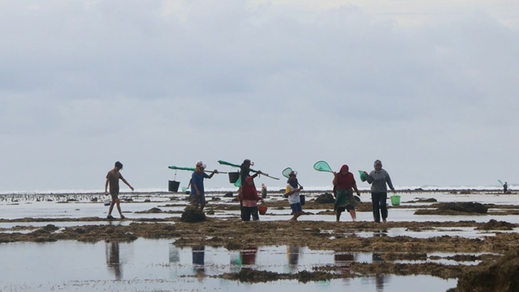 Bau Nyale 2026 Festival Cacing Laut Unik Lombok